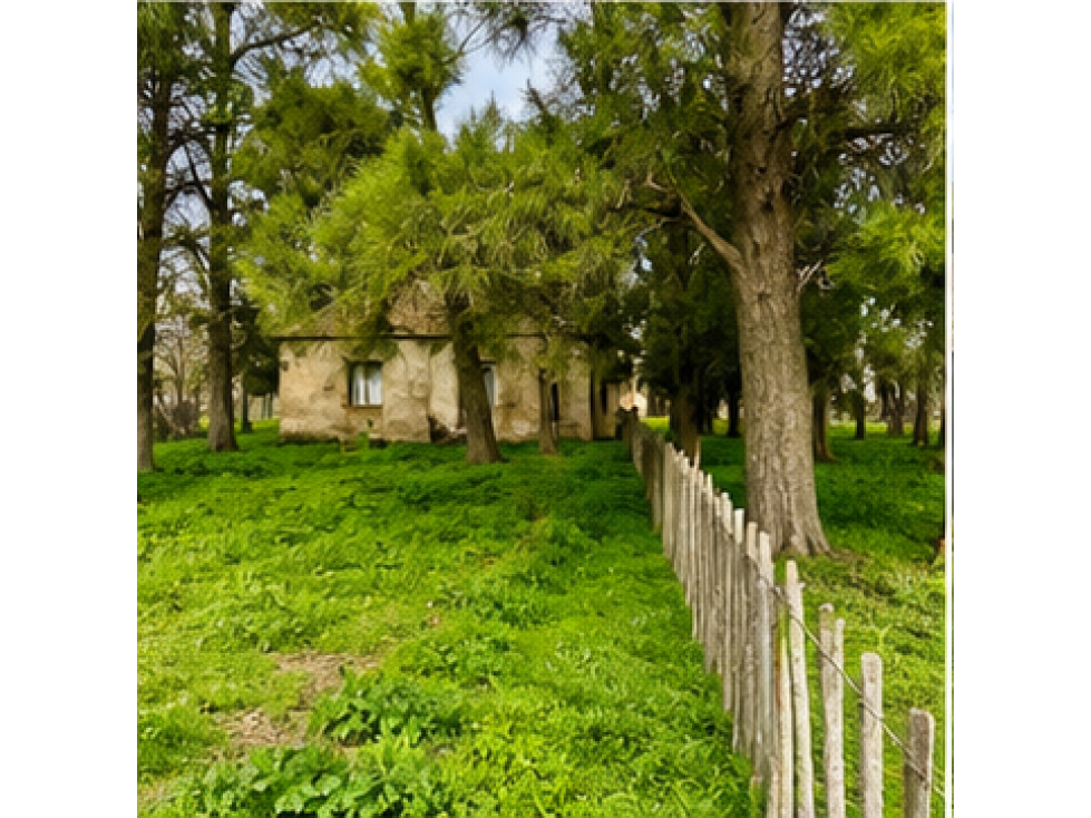 Campo de 201 Has en Ranchos (Bs. As.) - 2