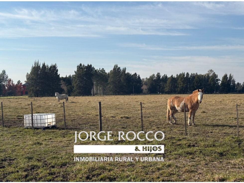 Lote Chacra en venta en Barrio Las Malvinas 1 en Brandsen - 1