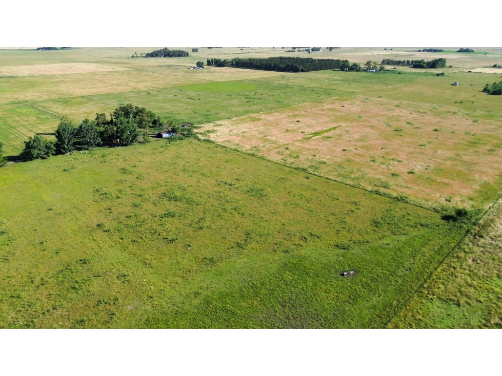 Campo en venta en Ranchos. 117 Has mixtas sobre ruta 29 - 5
