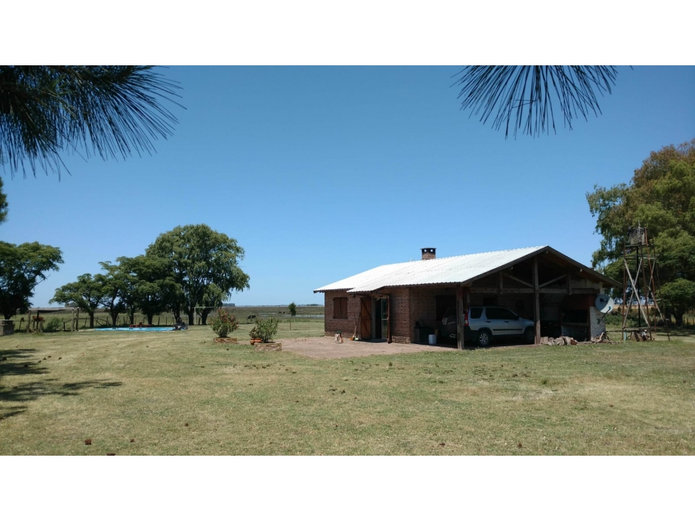Campo mixto de 758 Has en Carlos Casares, Buenos Aires - 4