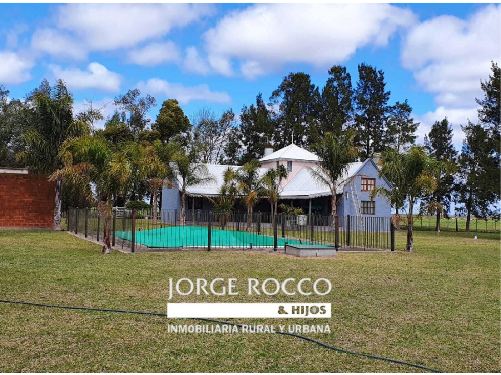 Campo en venta en Bavio. 185 has mixto - 3