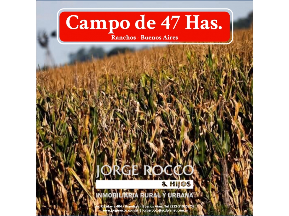 Campo en venta en Ranchos. 47 Has. mixtas - 1