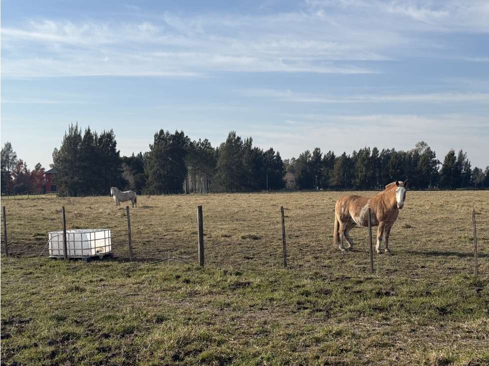 Lote Chacra en venta en Barrio Las Malvinas 1 en Brandsen - 2