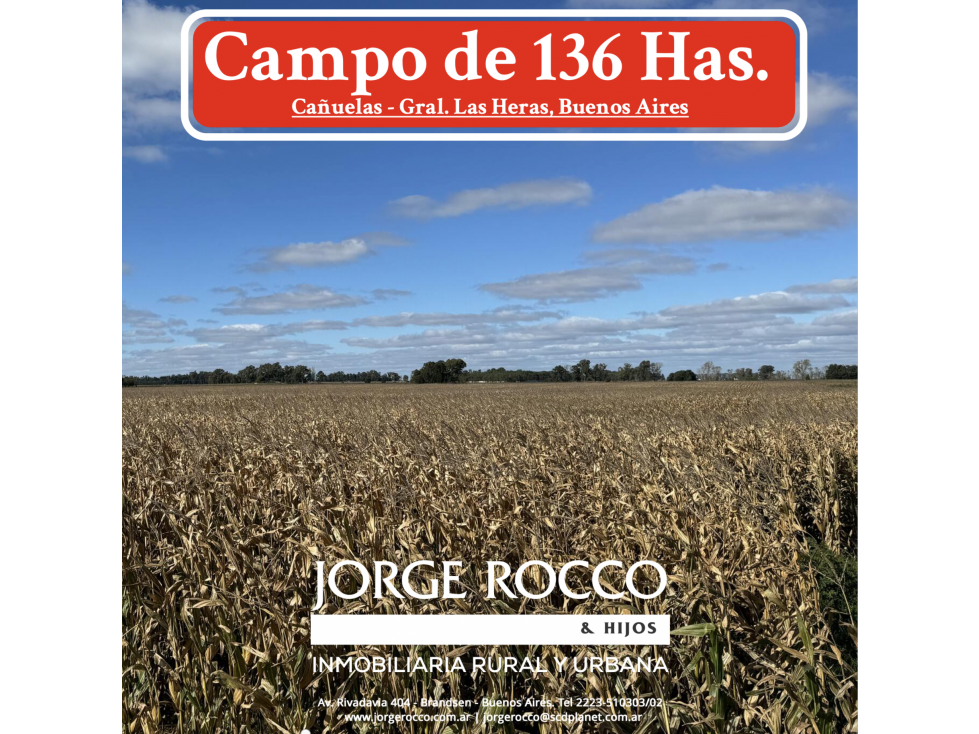 Campo en venta de 136 Has, mixto. Aut. 6 Cañuelas - Gral. Las Heras - 1