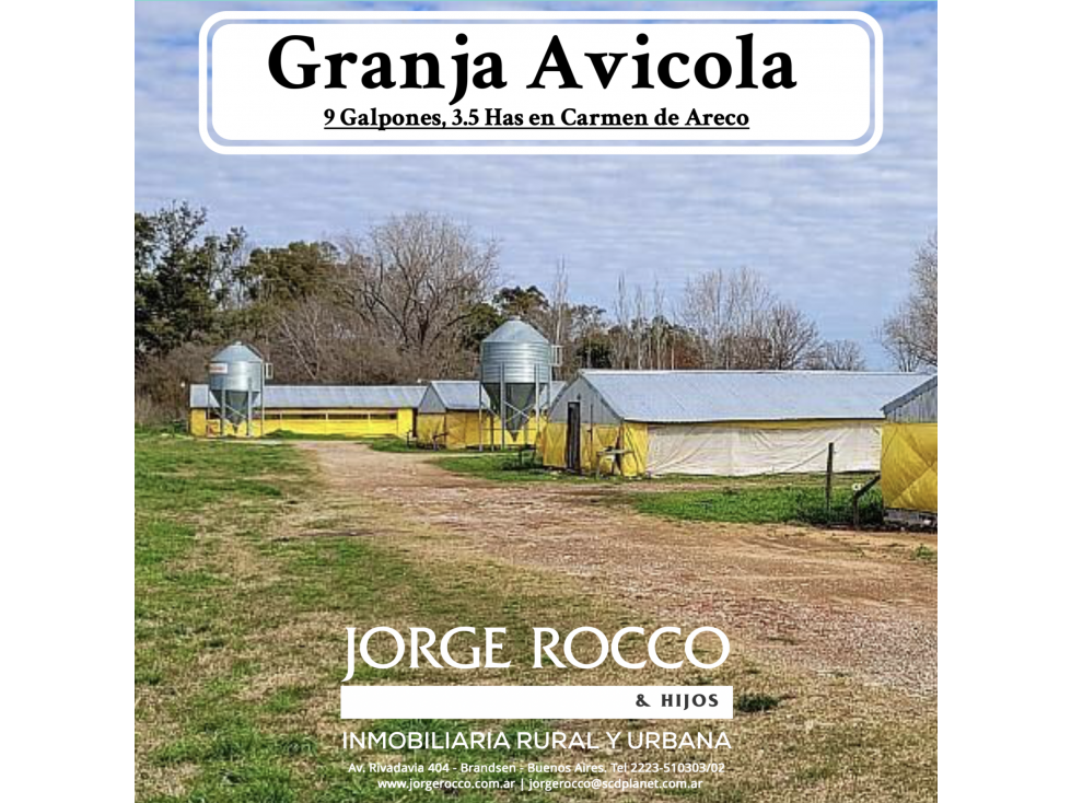 Granja Avícola en venta en Carmen de Areco. 9 galpones, 3,5 Has. - 1