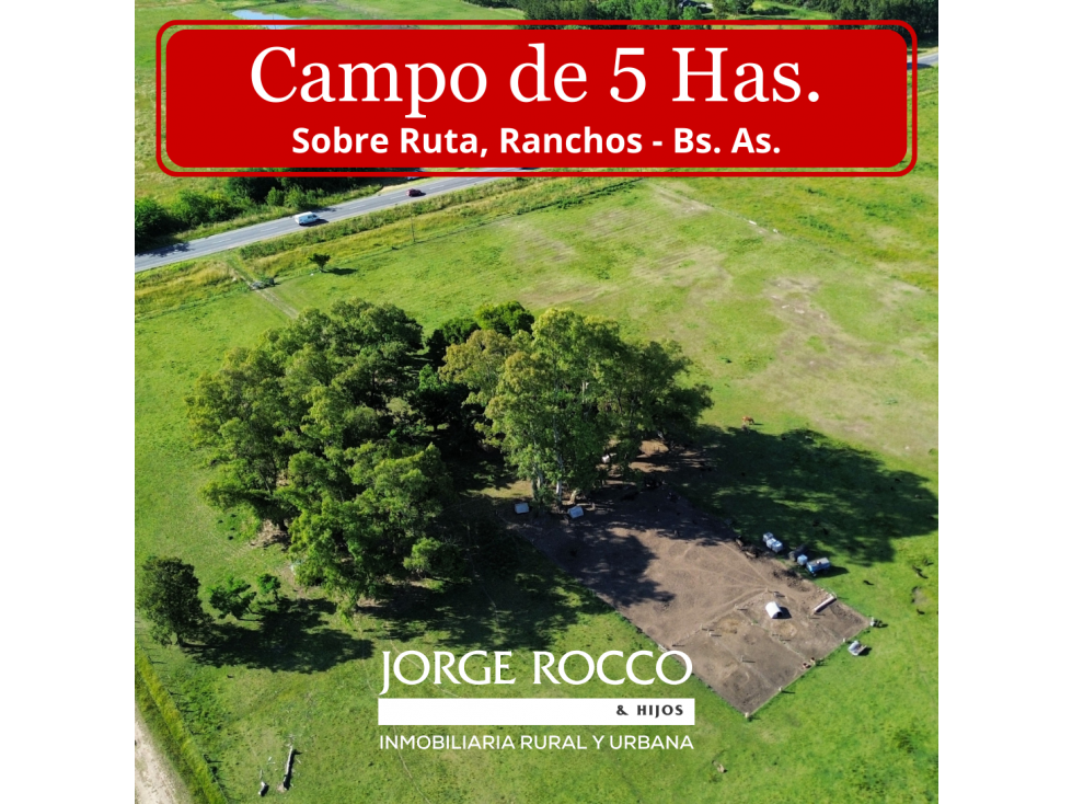 Campo de 5 Has sobre ruta en Ranchos - 1