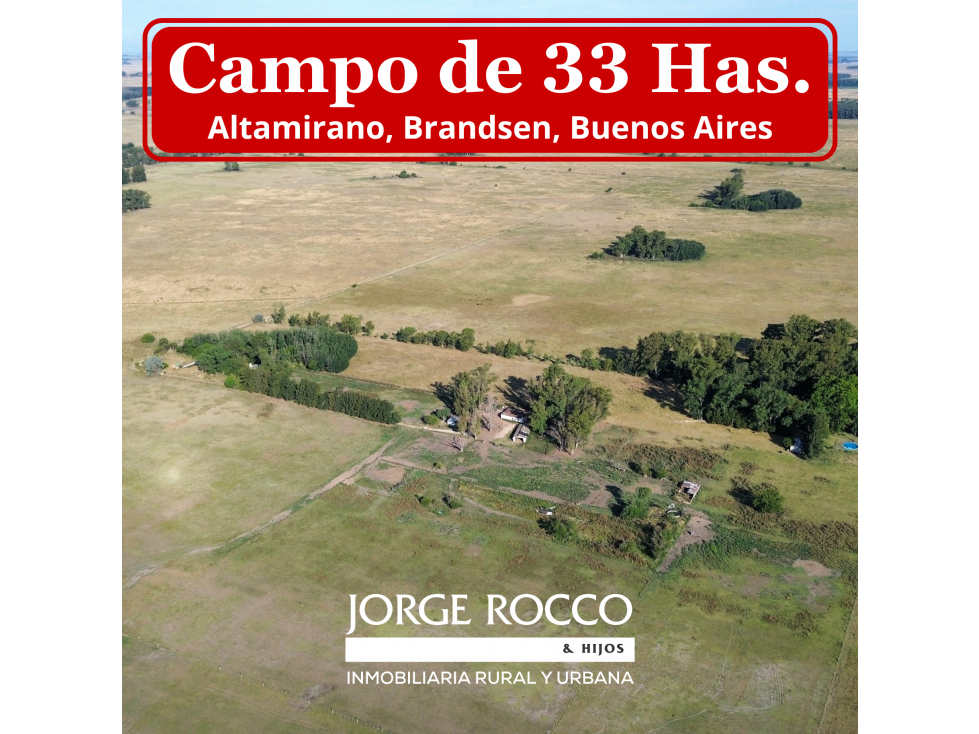 Campo de 33 Has. mixto en Brandsen - 1