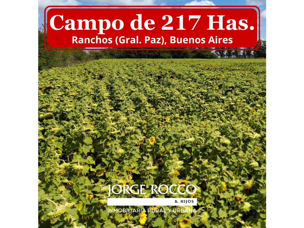 Campo mixto de 217 Has. en Ranchos - Buenos Aires - 1
