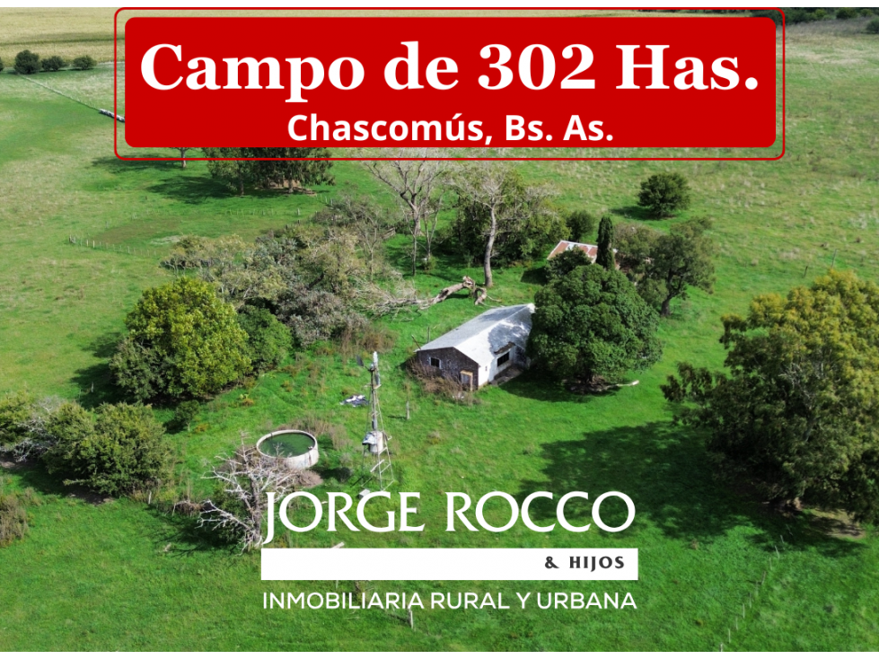 Campo de 302 Has. en Chascomús, Bs. As. - 1