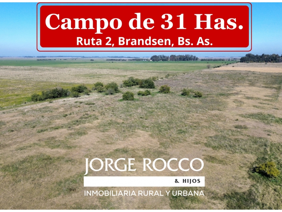 Campo de 31 Has en Brandsen, próximo a Ruta 2 - 1