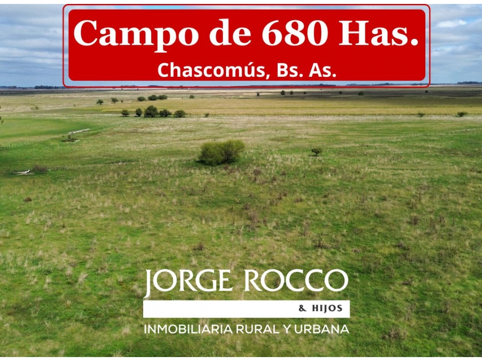 Campo de 680 Has. en Chascomús, Bs. As.