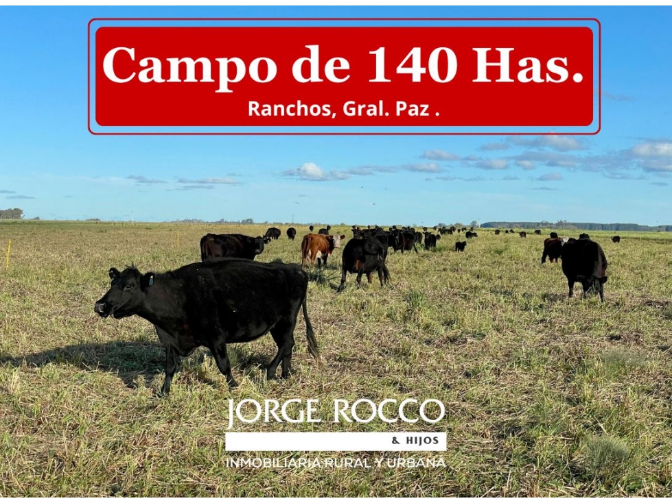 Campo de 140 Has en Ranchos, Gral. Paz (Bs. As.) - 1