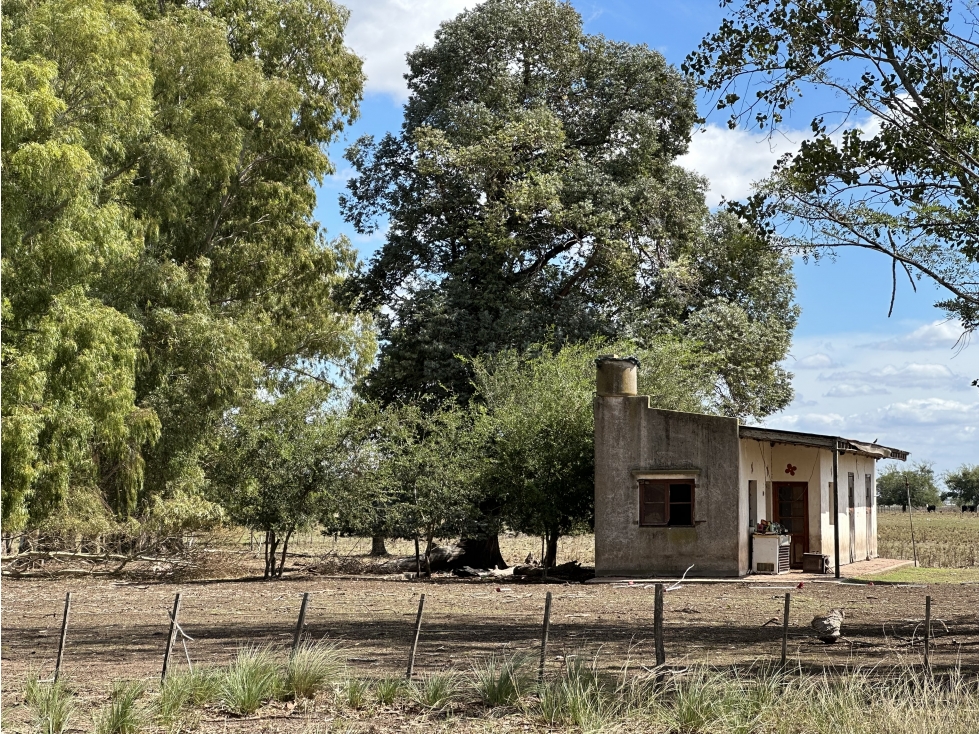 Campo de 450 Has en Magdalena (Bs. As.) - 6