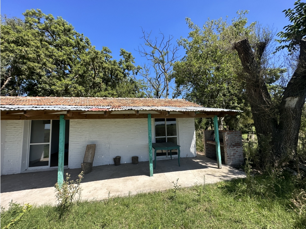 Campo en venta en Brandsen. 150 Has mixto - 6