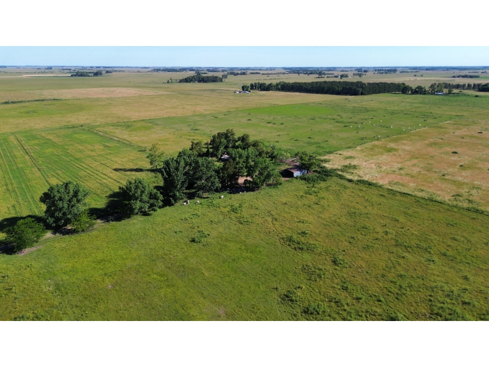 Campo en venta en Ranchos. 117 Has mixtas sobre ruta 29 - 2