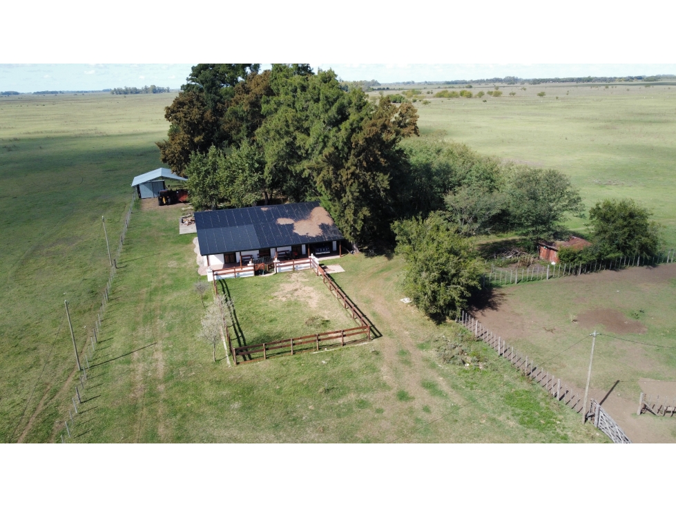 Campo mixto de 650 Has. en venta en Brandsen - 5