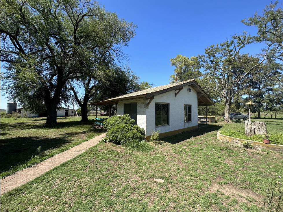 Campo en venta en Brandsen. 150 Has mixto - 2