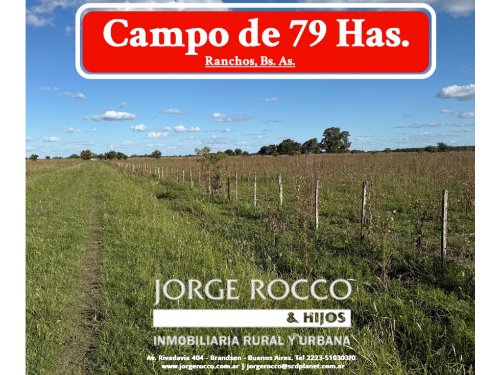 Campo de 79 Has mixto en Ranchos. - 1