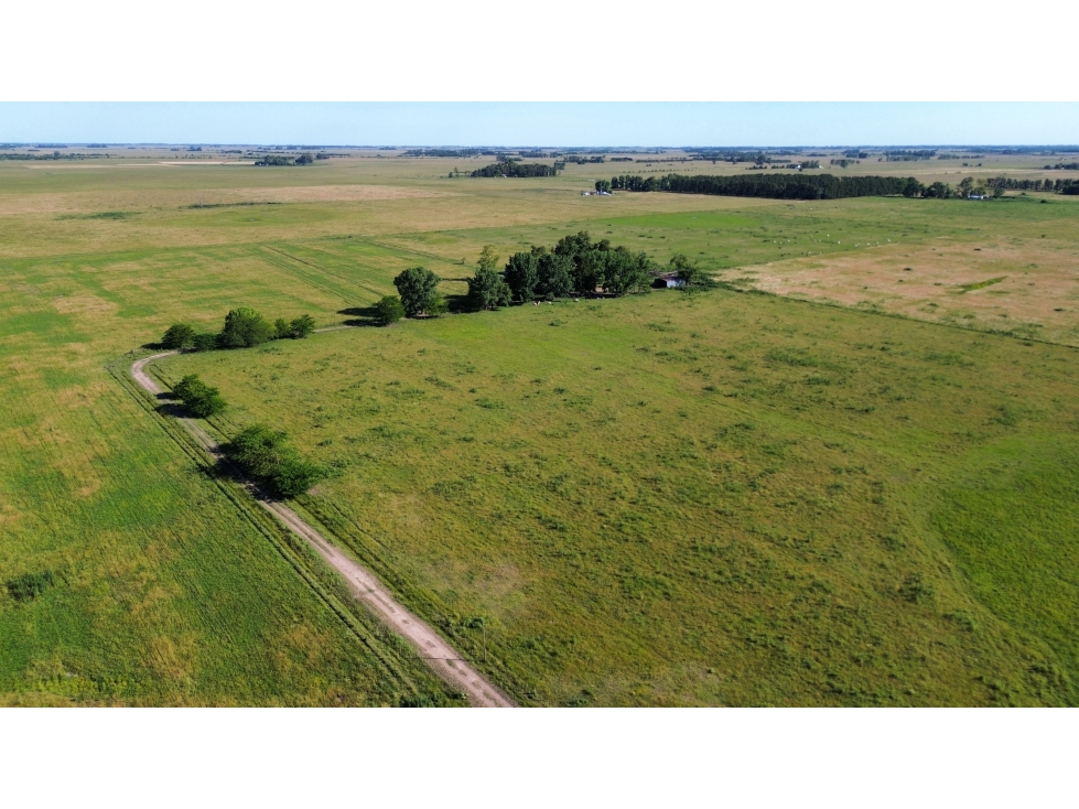 Campo en venta en Ranchos. 117 Has mixtas sobre ruta 29 - 4