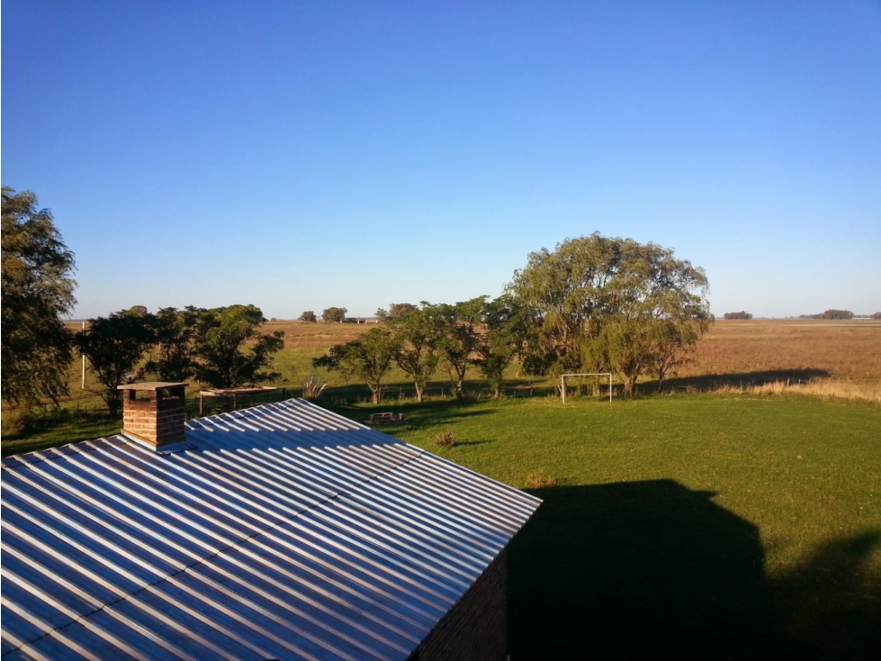 Campo mixto de 758 Has en Carlos Casares, Buenos Aires - 3