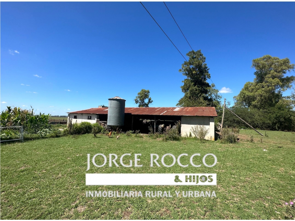 Campo en venta en Brandsen. 150 Has mixto - 4