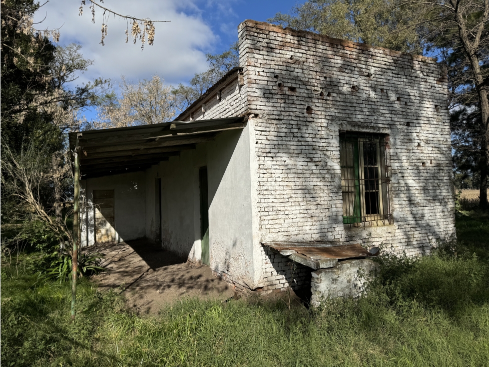 Campo en venta en Gral. Belgrano. 14 Has. agrícolas - ganaderas - 5