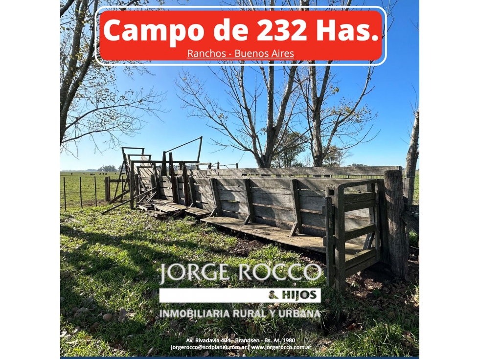 Campo en venta en Ranchos. 232 Has. ganadero - 1