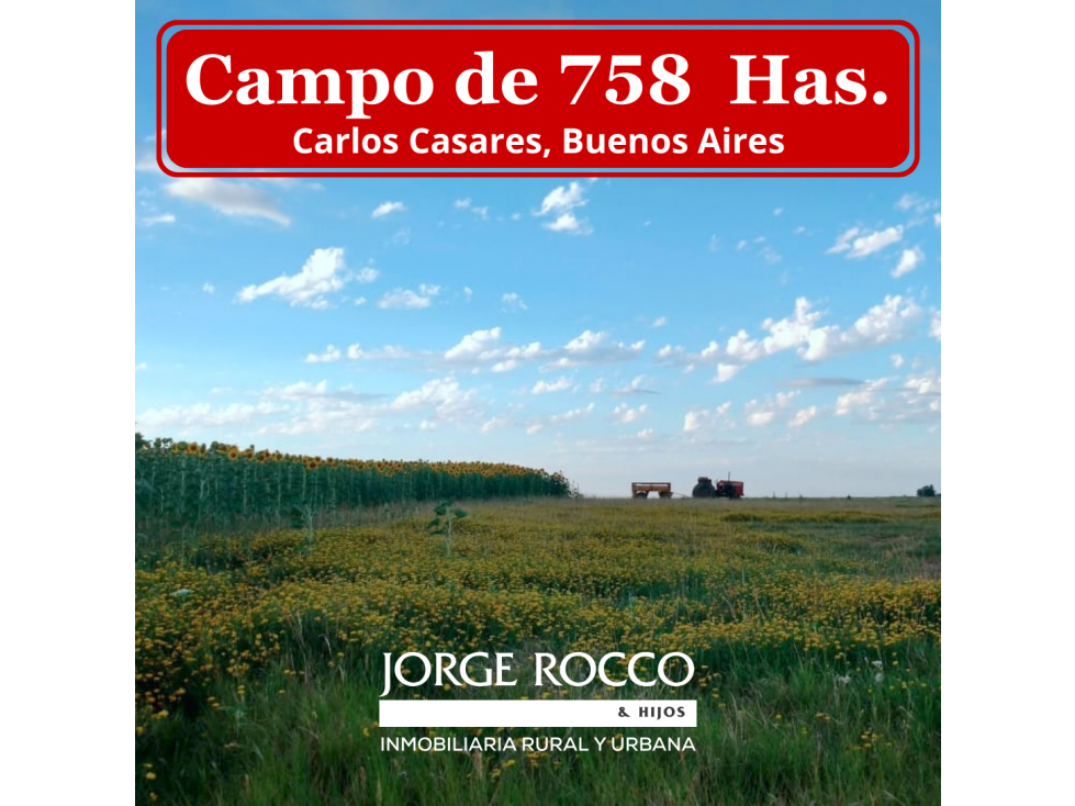 Campo mixto de 758 Has en Carlos Casares, Buenos Aires - 1