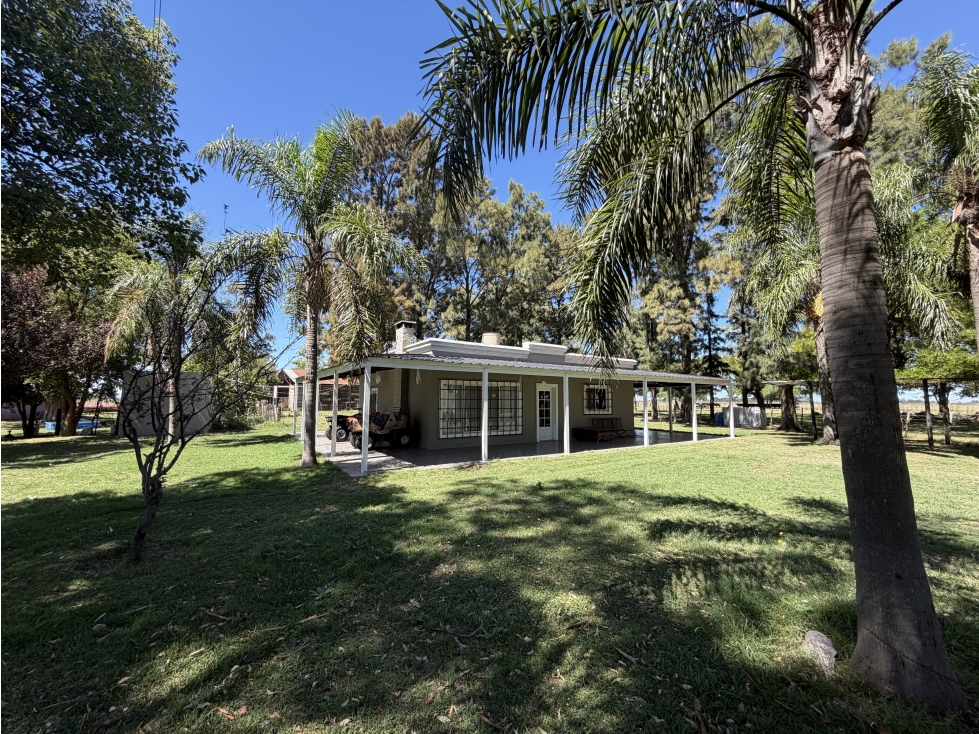 Campo de 227 Has en Ranchos, sobre Ruta - 6
