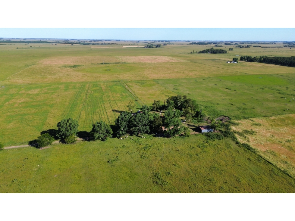 Campo en venta en Ranchos. 117 Has mixtas sobre ruta 29 - 3