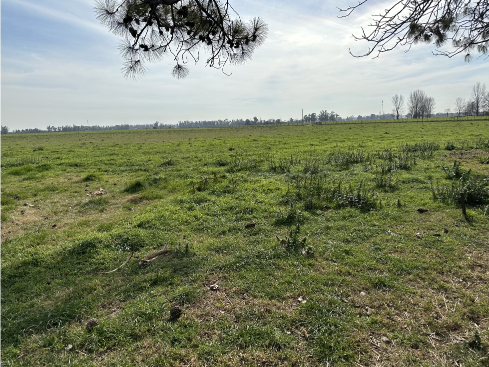 Campo de 26 Has en venta en Loma Verde (pdo. Gral Paz - Ranchos) - 2