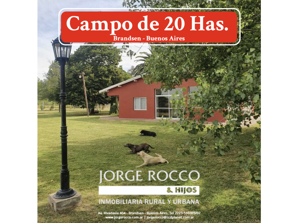 Campo en venta en Brandsen. 20 Has. - 1
