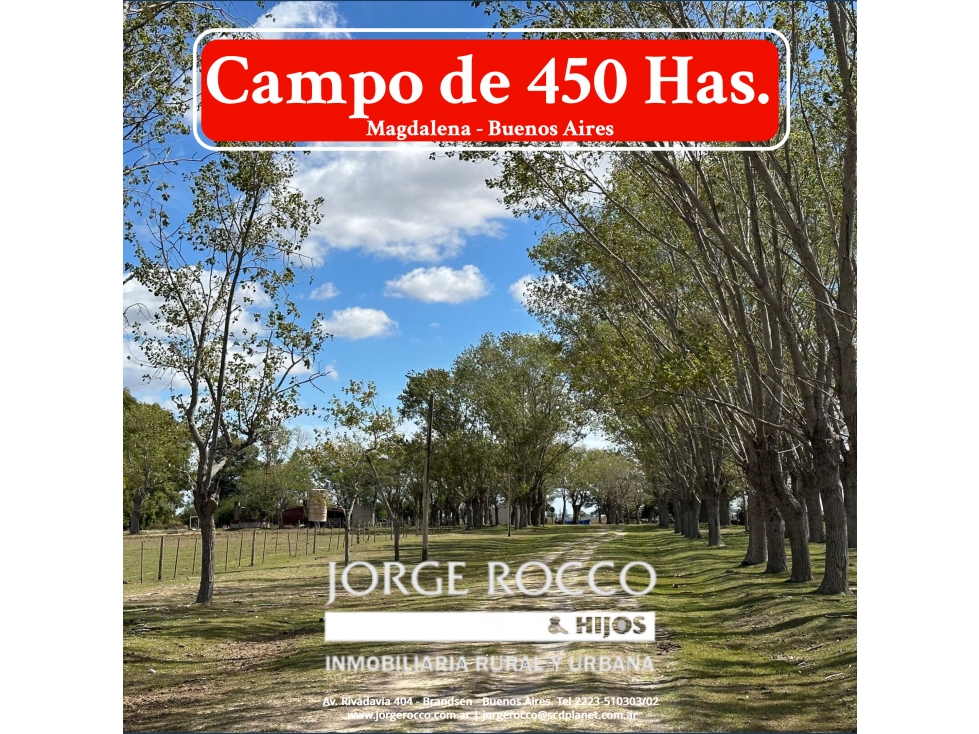 Campo de 450 Has en Magdalena (Bs. As.) - 1