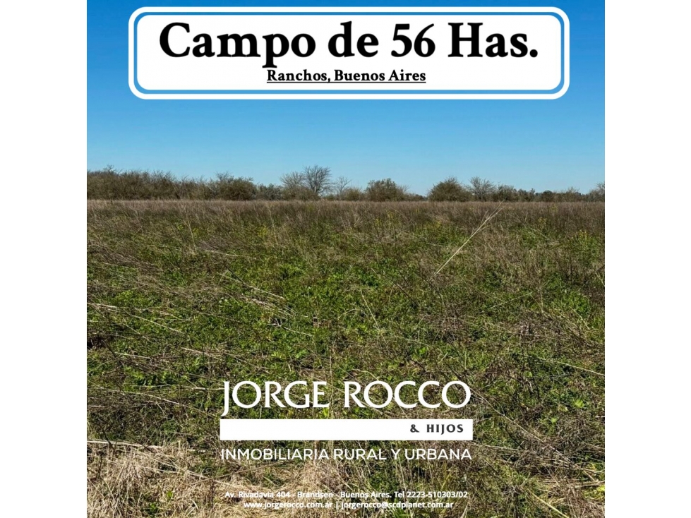 Campo en venta en Ranchos. 56 has mixto - 1