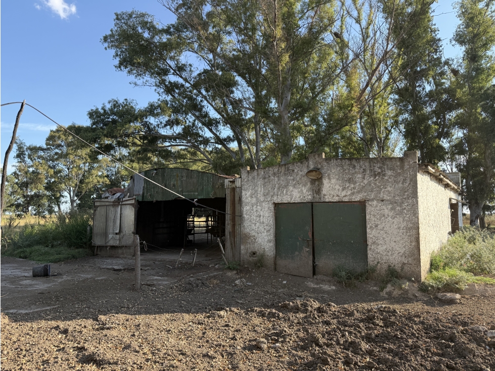 Campo de 33 Has. mixto en Brandsen - 6