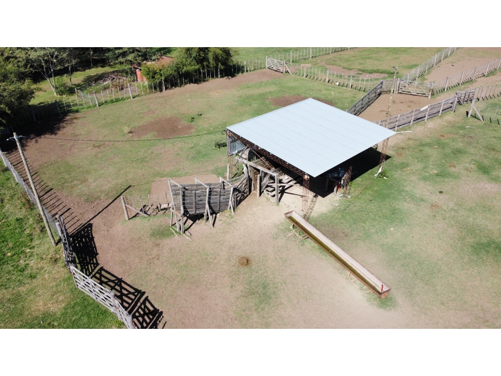 Campo mixto de 650 Has. en venta en Brandsen - 6