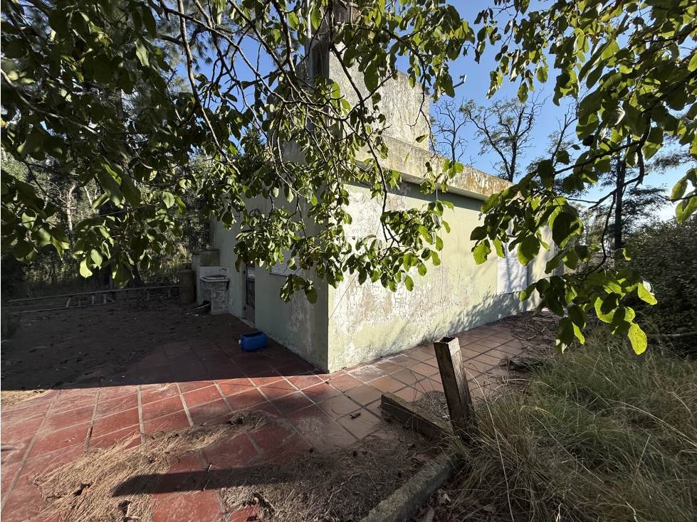 Campo de 33 Has. mixto en Brandsen - 2
