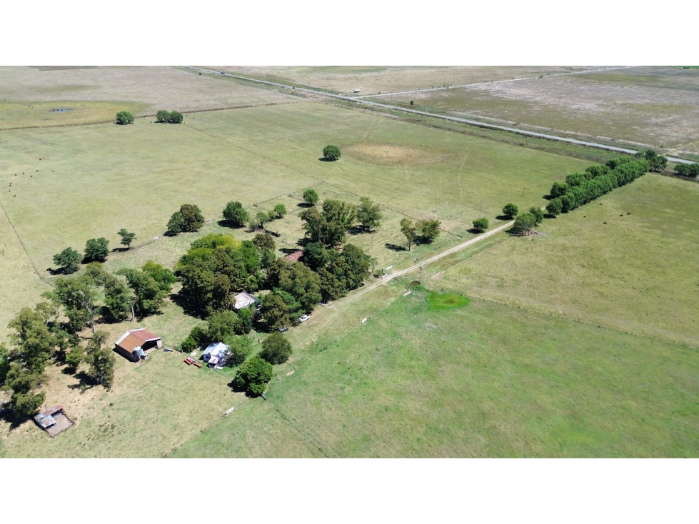 Campo de 227 Has en Ranchos, sobre Ruta - 2