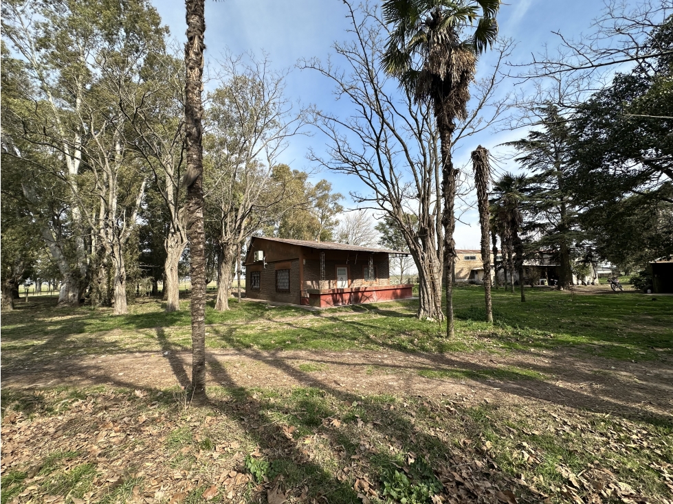 Campo de 26 Has en venta en Loma Verde (pdo. Gral Paz - Ranchos) - 6