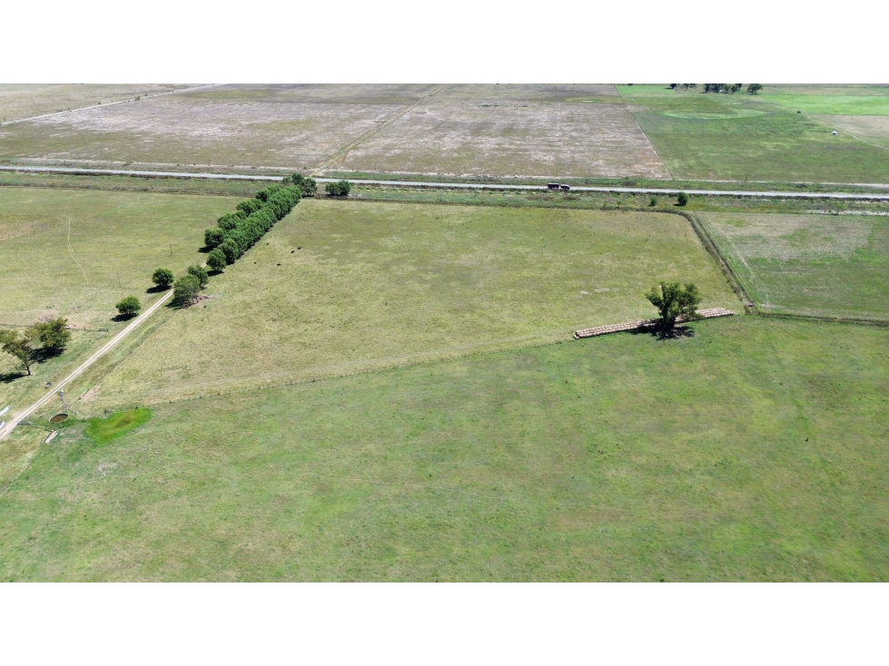 Campo de 227 Has en Ranchos, sobre Ruta - 4