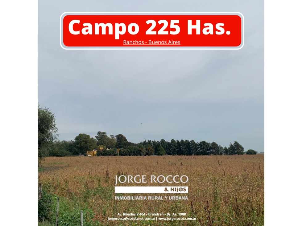 Campo mixto de 225 Has en Ranchos - 2