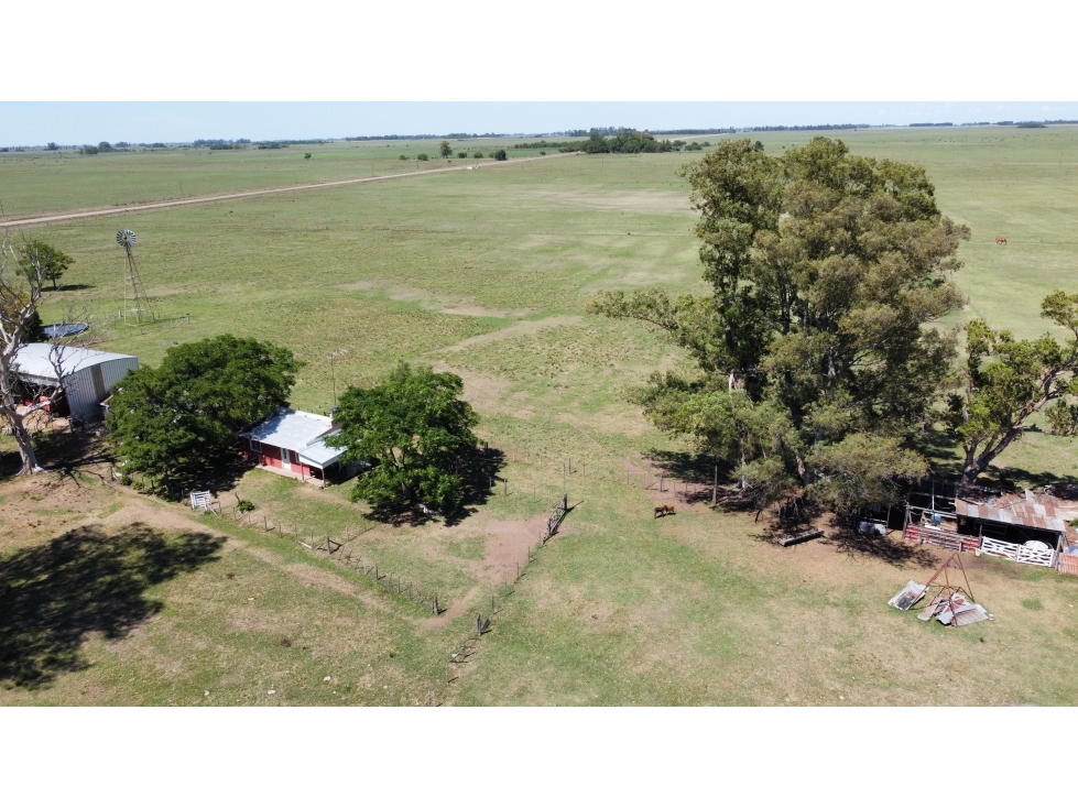 Campo mixto de 20 Has. en Brandsen - 6