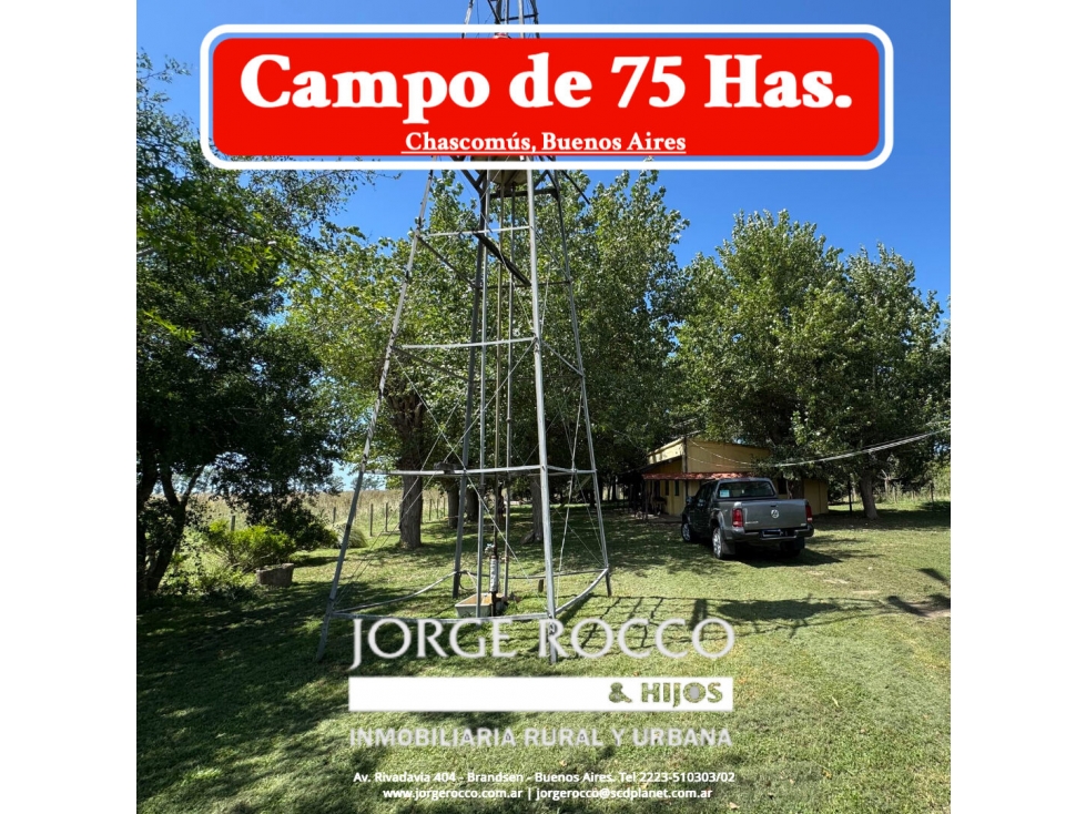 Campo en venta en Chascomús. 75 Has mixto PERMUTA!!! - 1