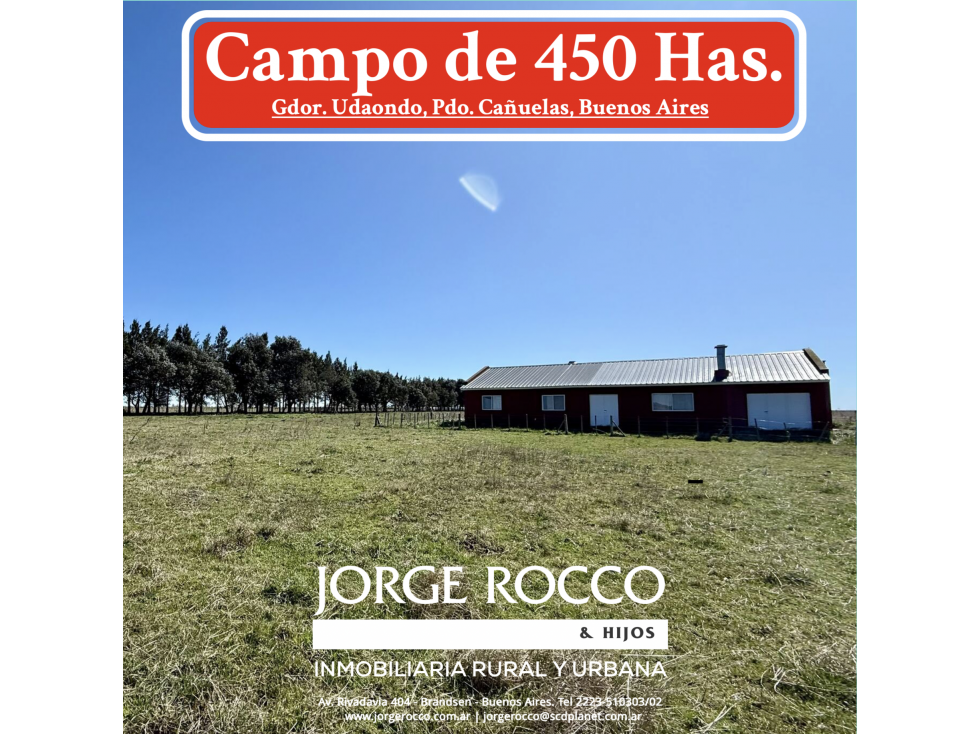 Campo de 450 Has. en Gdor. Udaondo, Pdo. de Cañuelas - 1