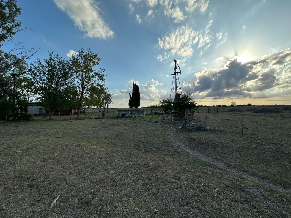 Campo en venta en Gomez, Brandsen. 17 Has ganadero - 2