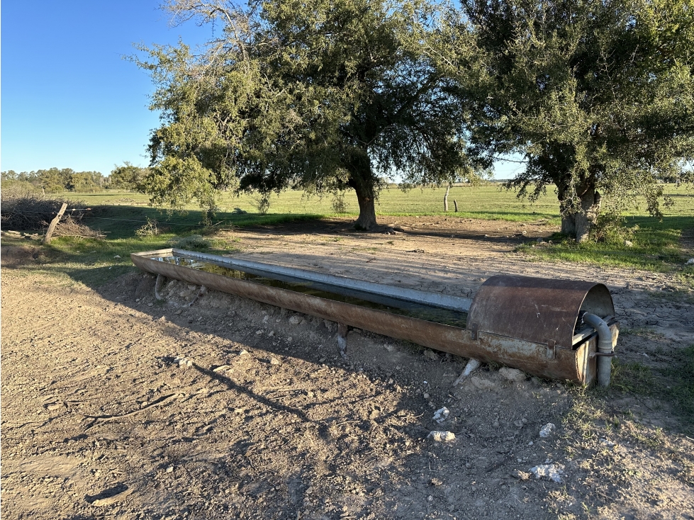 Campo en venta en Brandsen. 49 Has mixto - 5