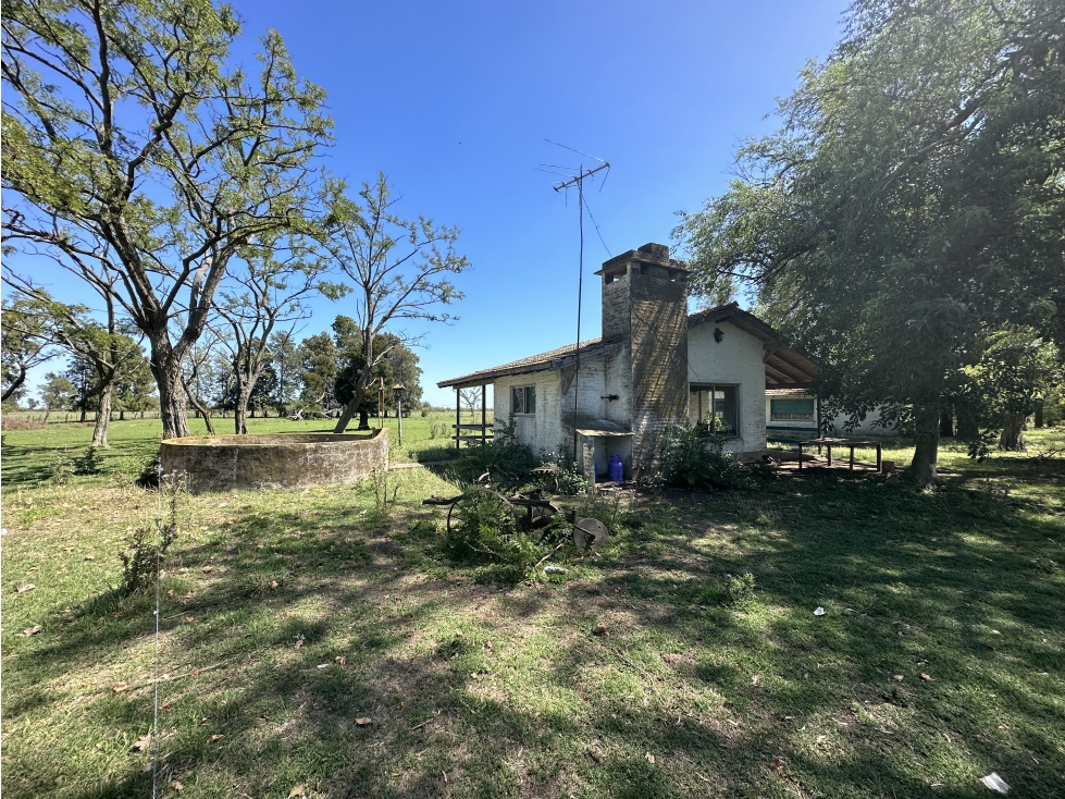 Campo en venta en Brandsen. 150 Has mixto - 3