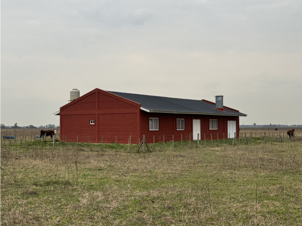 Campo de 450 Has. en Gdor. Udaondo, Pdo. de Cañuelas - 6