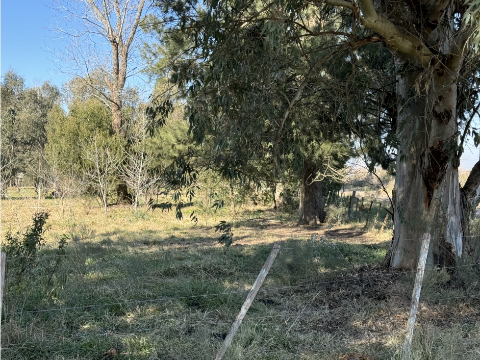 Lote en venta en Barrio La Parada - Brandsen - 4