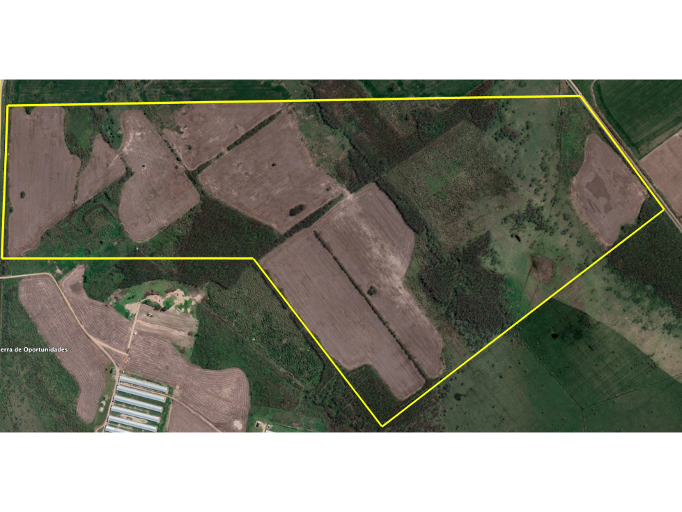 Campo mixto de 136 Has, Auto. 6 Cañuelas - Gral. Las Heras - 2